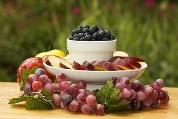 Blueberry Delight