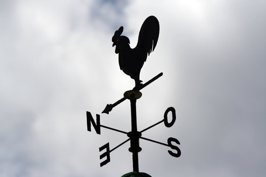 gallo veleta puntos cardinales direccion viento