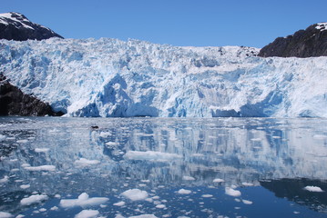 Fototapeta na wymiar Holgate Glacier Alaska