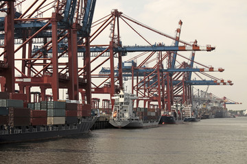 Container ship and loading crane in port