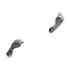 Footprint