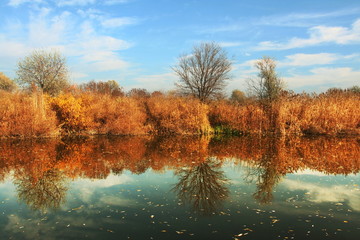 Autumn river