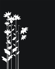 Floral collection