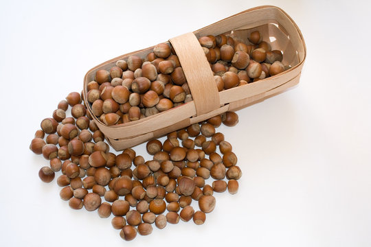 hazel-nut in basket