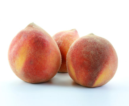 p&ecirc;ches