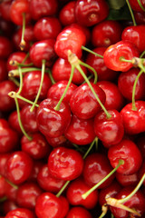 fresh red cherry as a background