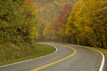 Curved Road with Autumn Colors