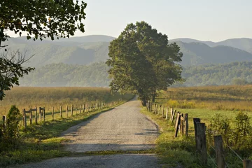 Foto op Canvas Country Road Great Smoky Mountains © JudyK