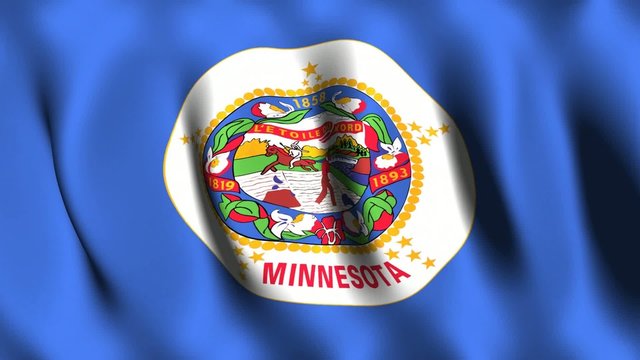 Minnesota (US) Flag