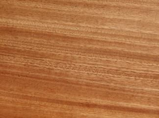 holz