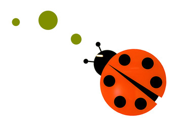 Lady Bug
