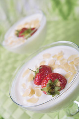 Joghurt-Quarkdessert