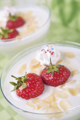 Joghurt-Quarkdessert