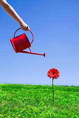 Woman watering flower © pikselstock