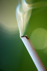 cigarette smoke