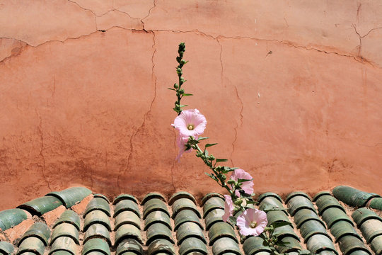 Moroccan tile roof