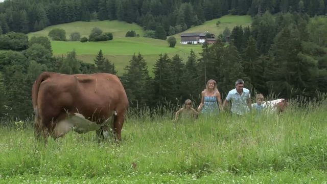 pascolo e famiglia in montagna