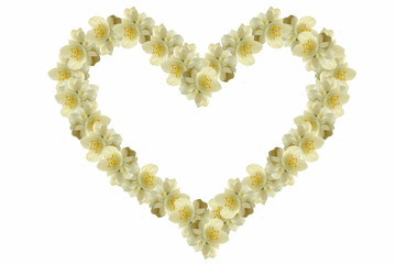 jasmine heart background