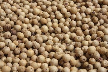 White peppercorns