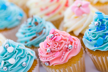 Cupcake assortment