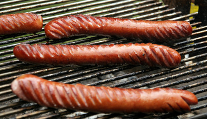 Kiełbasa pieczona © rak7