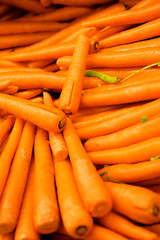 Group of Carrots