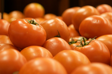 Group of Tomatos