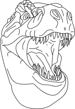 vector - t - rex head isolated on background