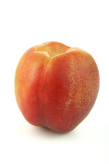 pêche sur fond blanc