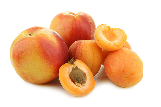 fruits, abricots et peches sur fond blanc