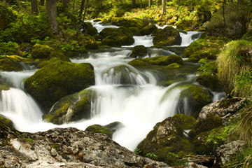 rapids with stones and moss in the alps