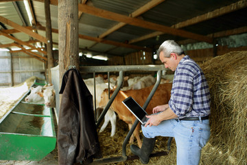 fermier avec ordinateur portable