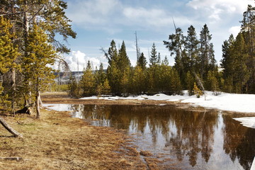 Obraz na płótnie Canvas Lake in forest
