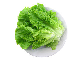 Leaf of lettuce on white  plate . Top view. .Isolated