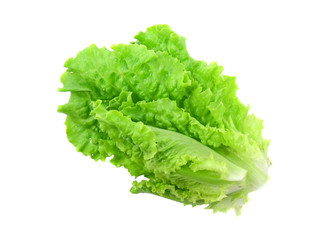 Leaf of lettuce on white background.Isolated