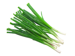 Green onion on white background. Isolated