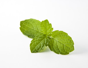 Mint