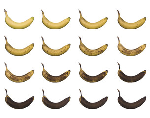Obraz na płótnie Canvas Banana w toku samodzielnie ku białym tle