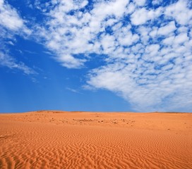 Fototapeta na wymiar hot time in the desert