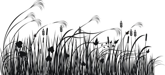 Grass vector silhouette