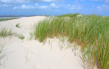 Nordsee