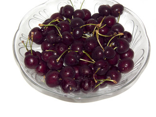 cherry