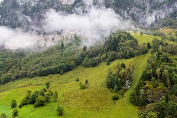 Landscape under the fog in Austria