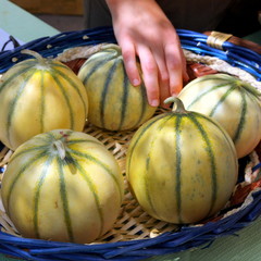 Panier de melons