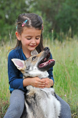 Chien Loup Tchecoslovaque Wall Mural Wallpaper Murals Wallsheaven Cynoclub