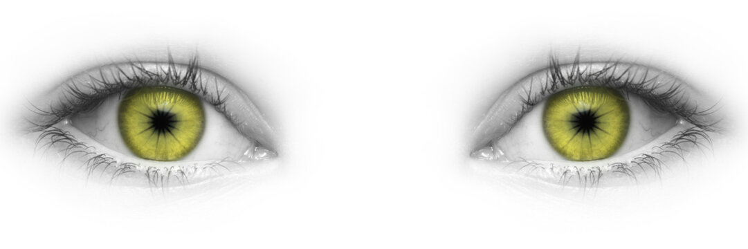Augen