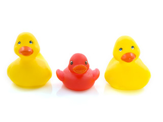 Three plastic ducks