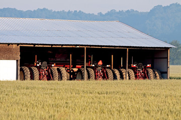 Parked Tractors and Wheat Field