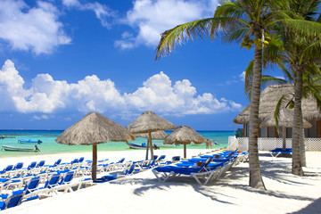 Tropical caribbean beach