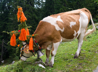 Almabtrieb